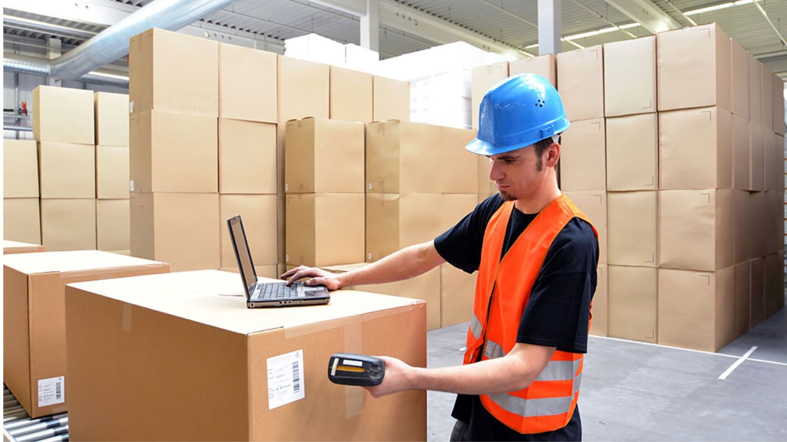 Transforming Your Warehouse Labelling with Strategic Labelling 3 Warehouse Labelling