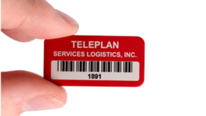 Untitled design 2025 01 02T165822.053